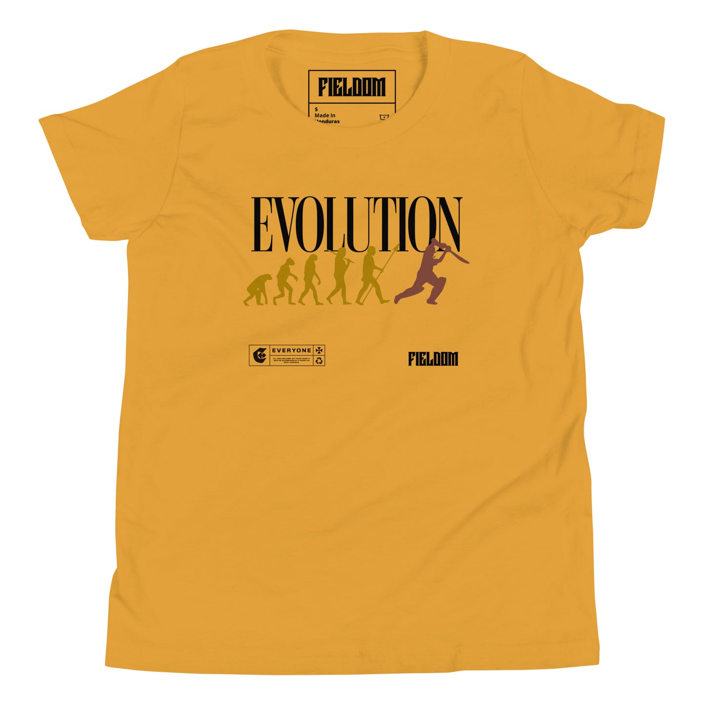 Evolution- Light shades